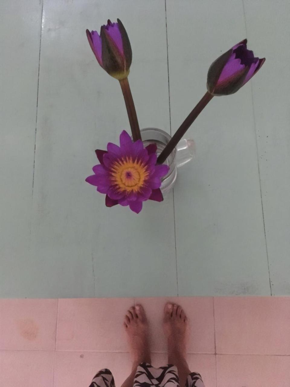 Hostel Layback Boutique Surf & Yoga Camp Sri Lanka Weligama Exterior foto